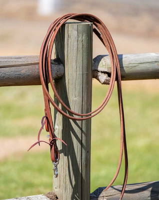 Split Reins
