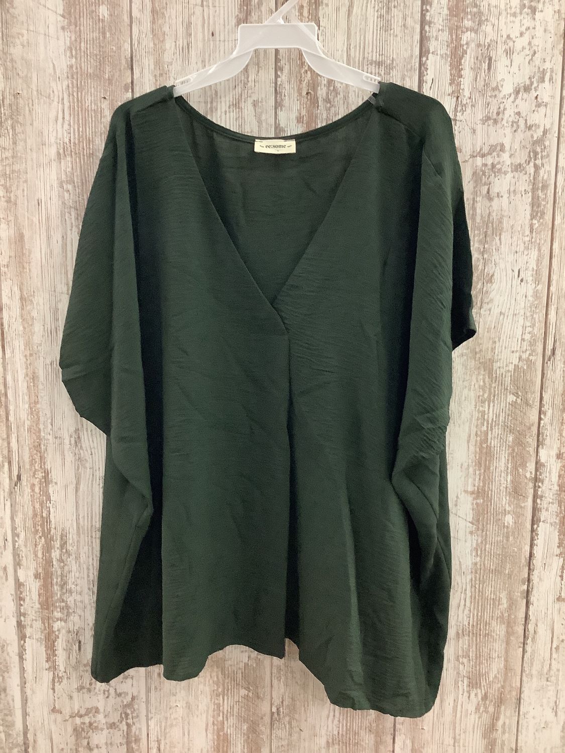 Short Sleeve Blouse with Deep V Neckline Plus Size