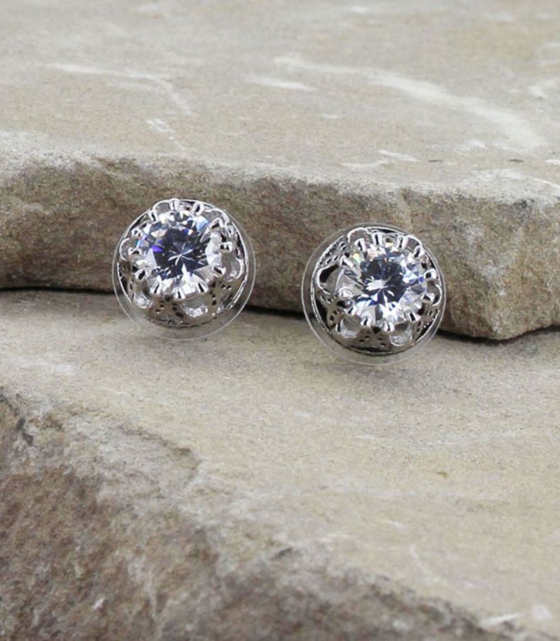 Lucky Water Horseshoe Post Earrings - MS