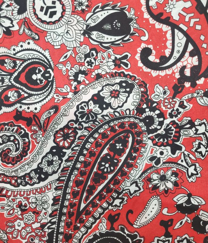 Wild Rag 33x33 Paisley