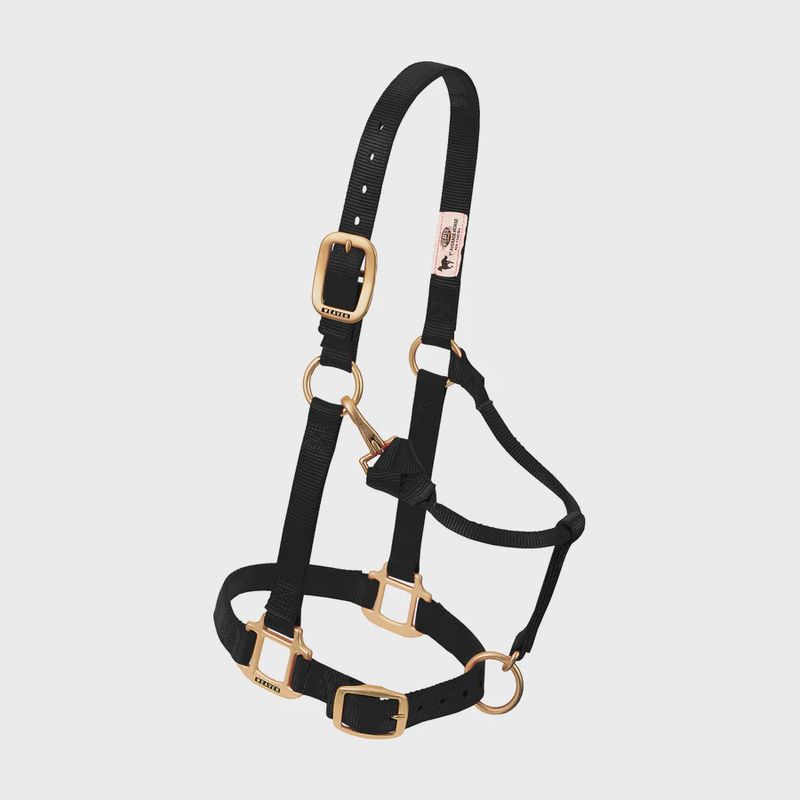 Original Adjustable Chin and Throat Snap Halter, 1"