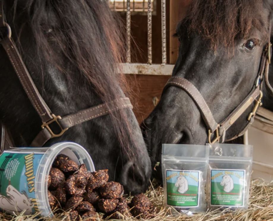 Horse Treats