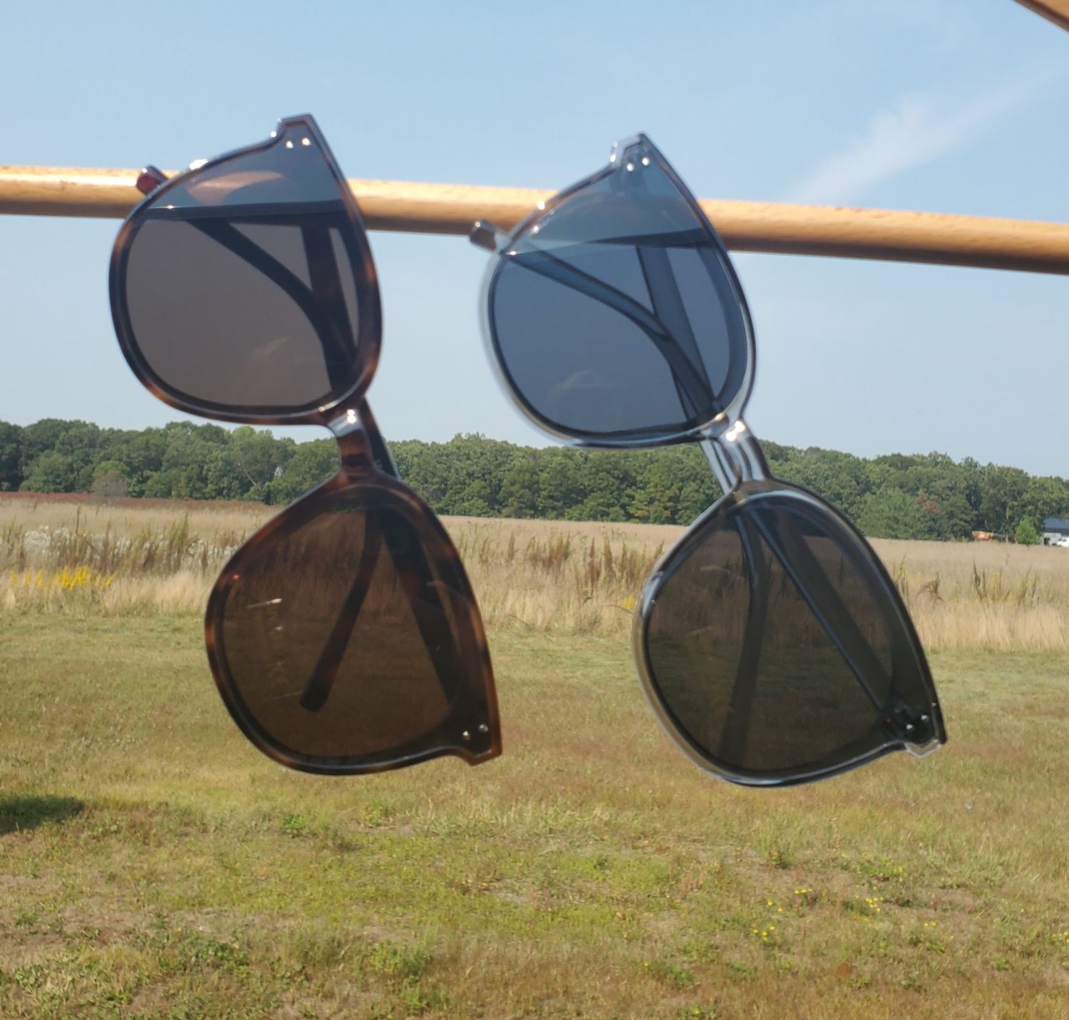 &quot;SunSational Shades&quot;