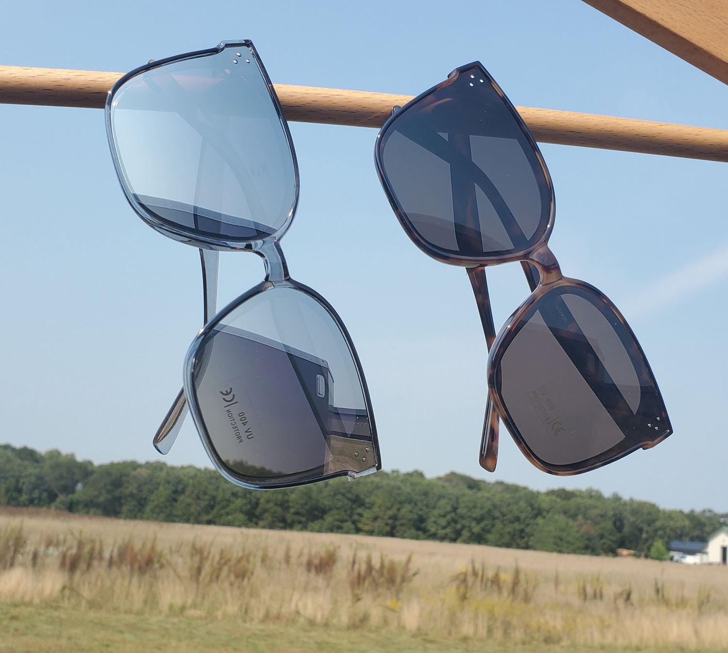 &quot;Color Me Sassy&quot; Sunglasses
