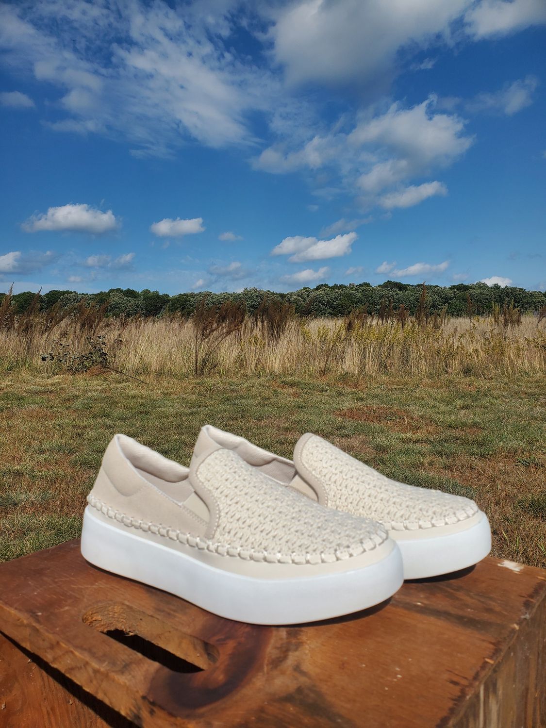 The Day Dreamer Casual Shoes