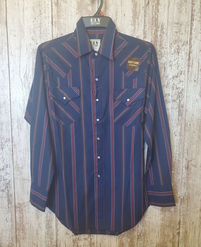 Assorted Stripe Western Long Sleeve Snap