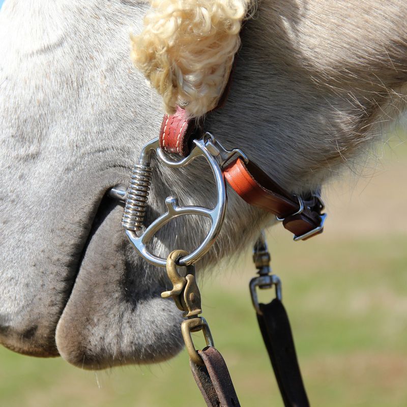 Western Dee Comfort Wide Barrel with Hooks