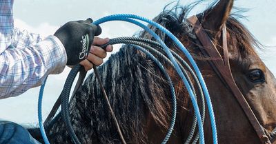 Roping/Rodeo Supplies