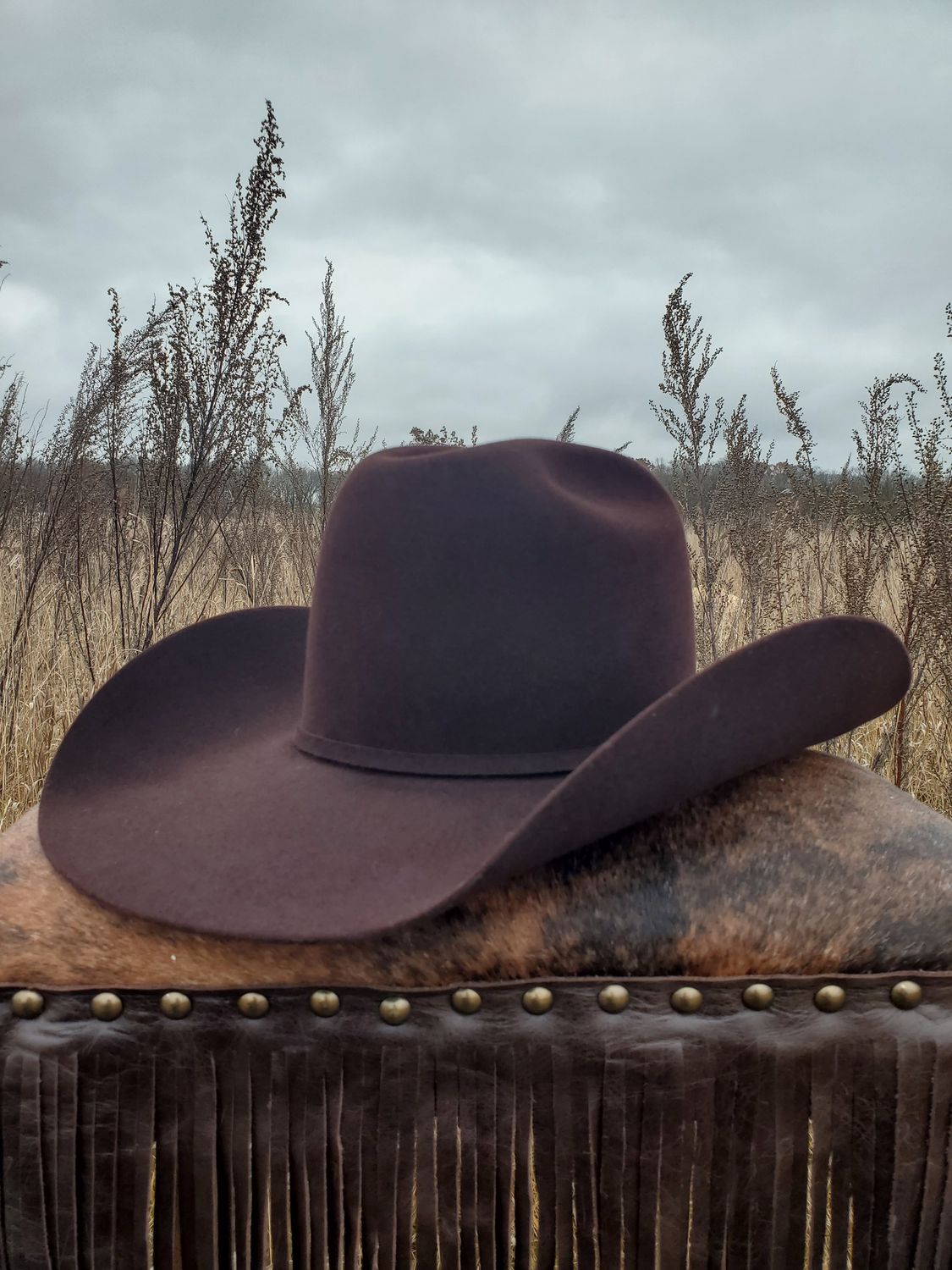 8X Felt Phoenix Cowboy Hat