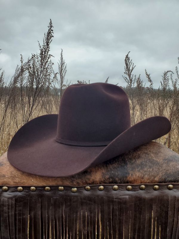 8X Felt Phoenix Cowboy Hat