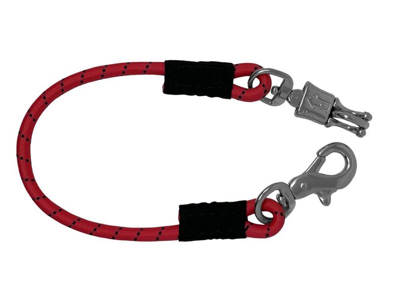 24" Bungee Trailer Tie with Quick Release