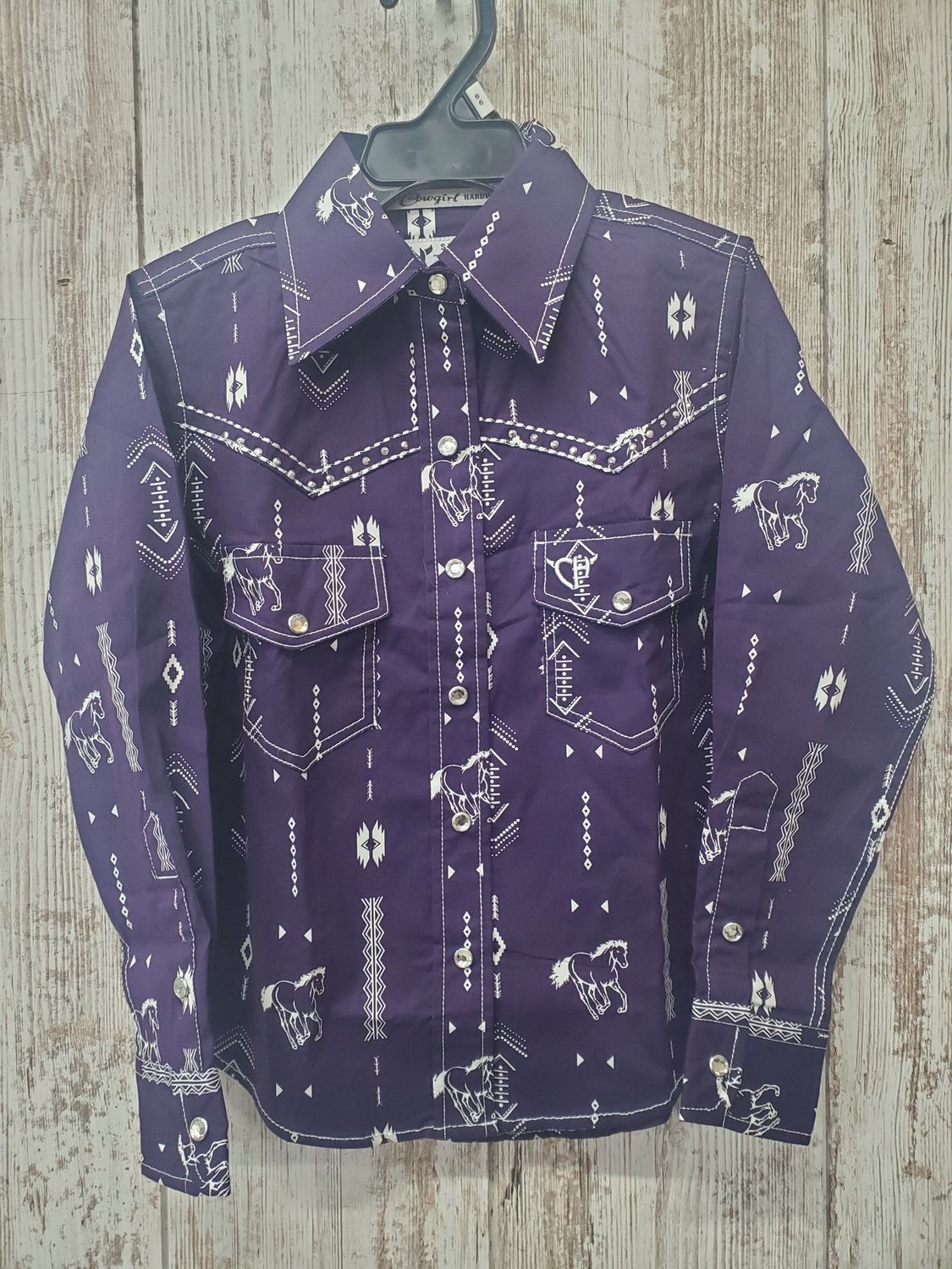 Horse Aztec Long Sleeve Snap Western Shirt