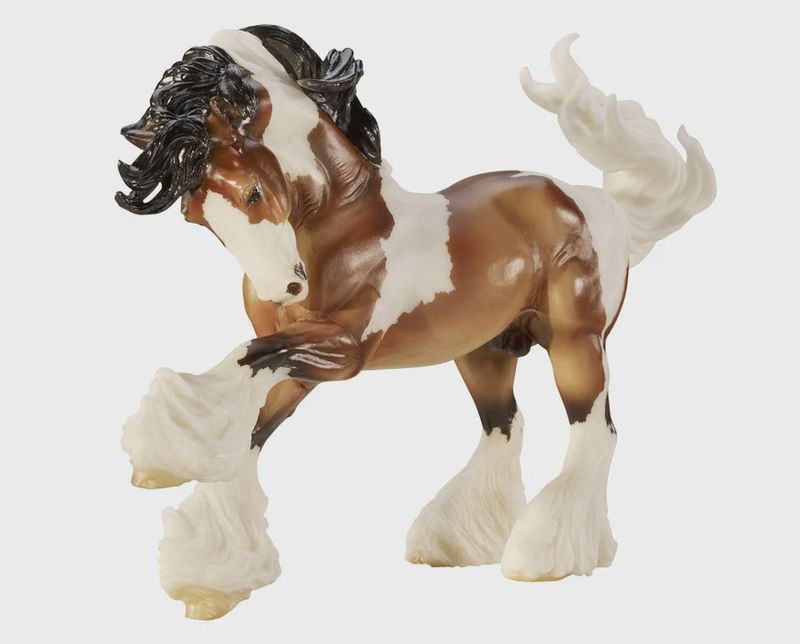 Gypsy Vanner