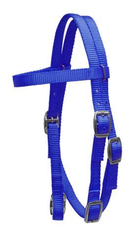 Pony Browband Headstall