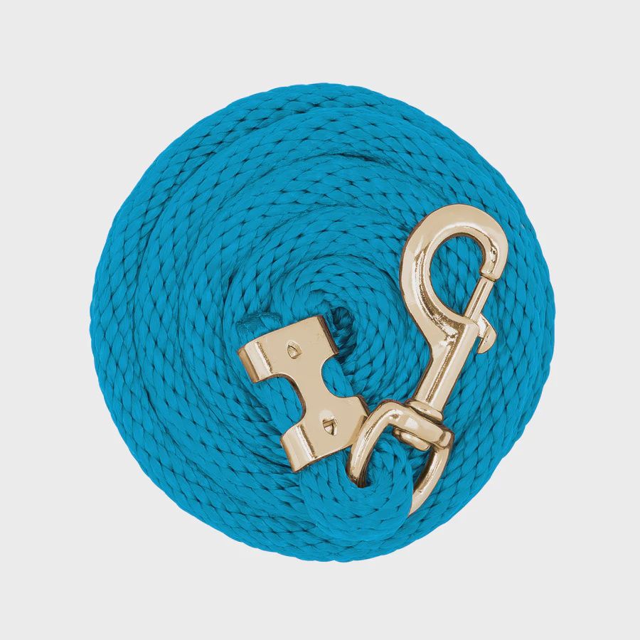 Lead Rope with Brass Plated 225 Snap, Color: Hurricane Blue