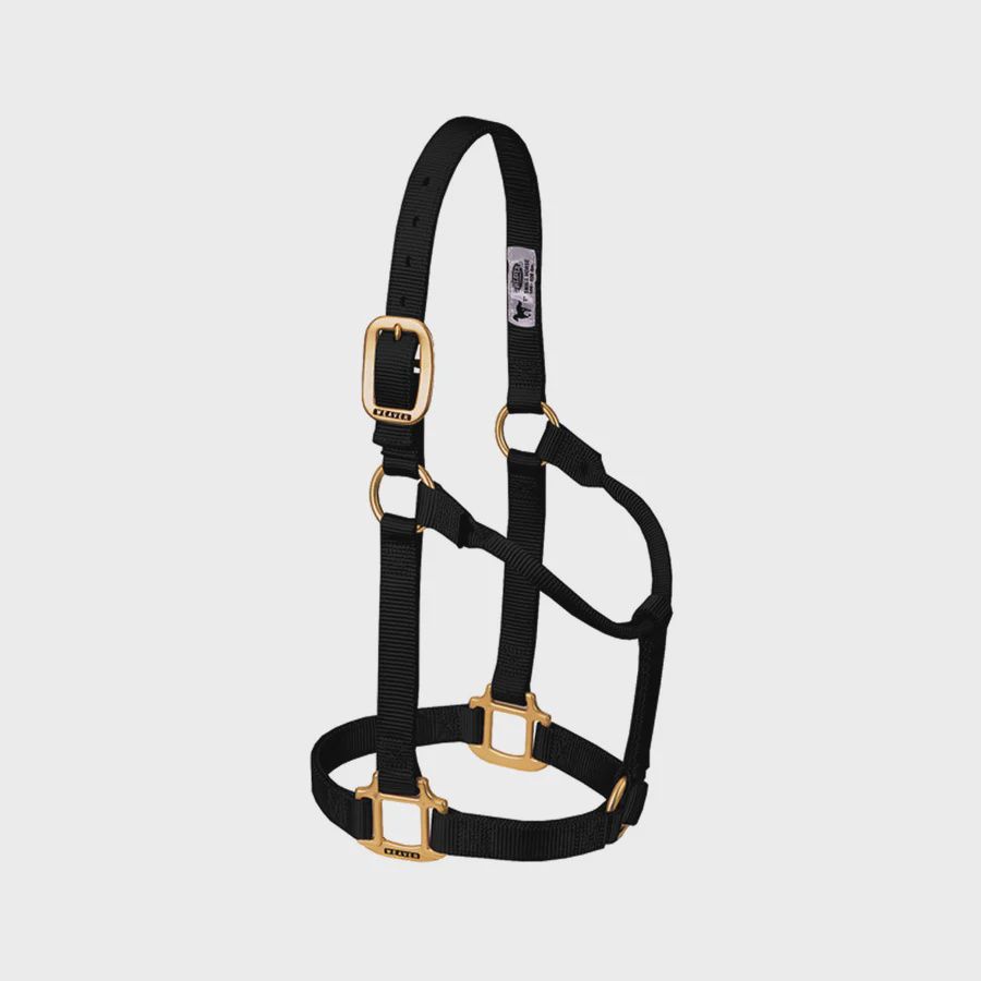 Original Non-Adjustable Halter, 1&quot;, Size: Average, Color: Black