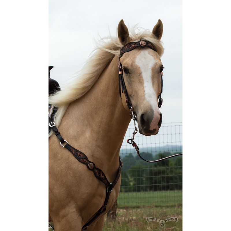 Vintage Sunflower Browband Headstall