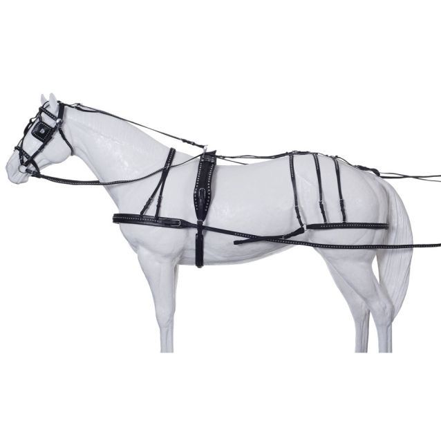 Spotted Leather Horse Harness