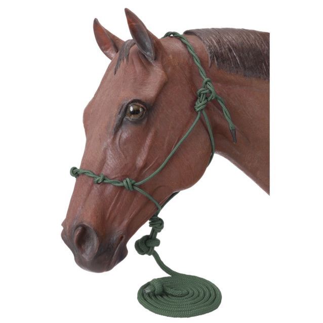Knotted Rope Halter with Lead, Color: Hunter Green