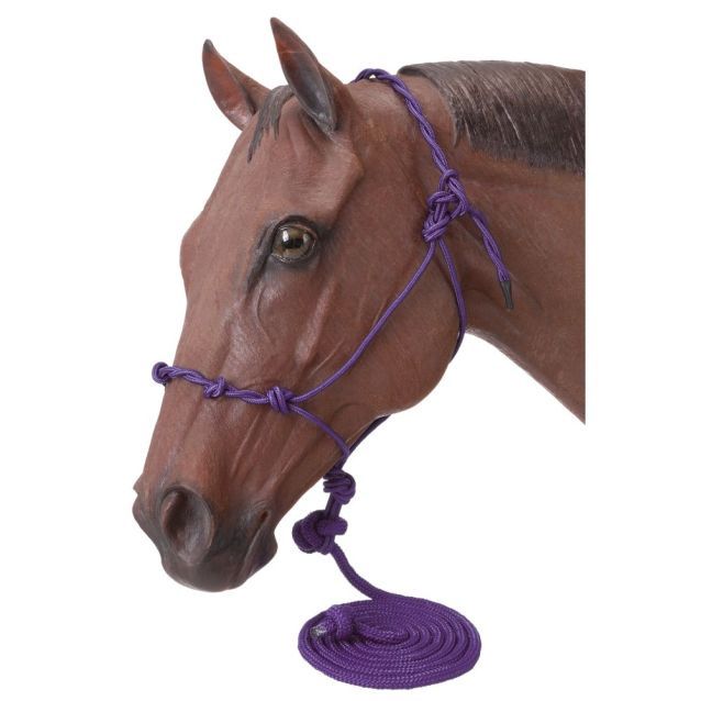 Knotted Rope Halter with Lead