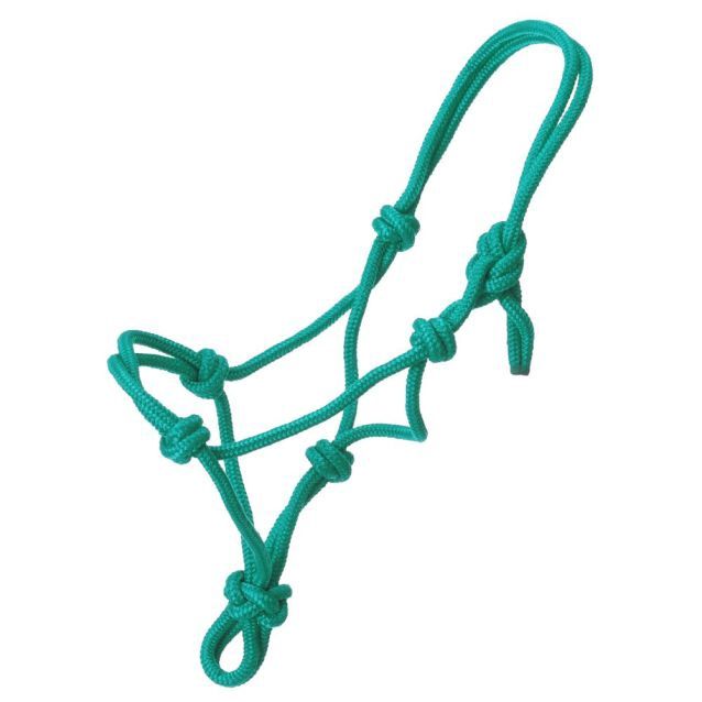 Miniature Poly Rope Halter, Color: Turquoise