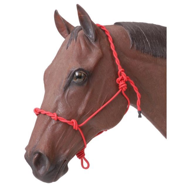 Knotted Rope Halter with Twisted Crown