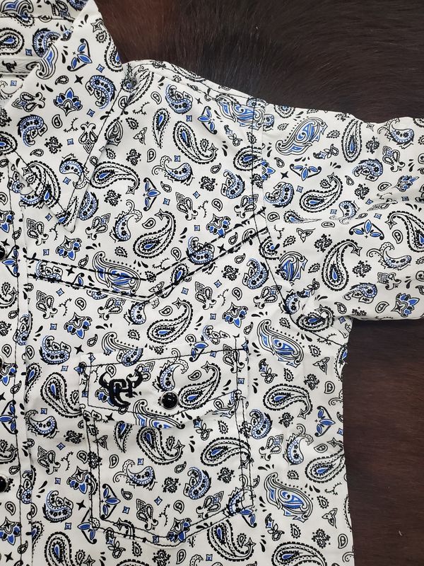 Scatter Paisley SS Snap