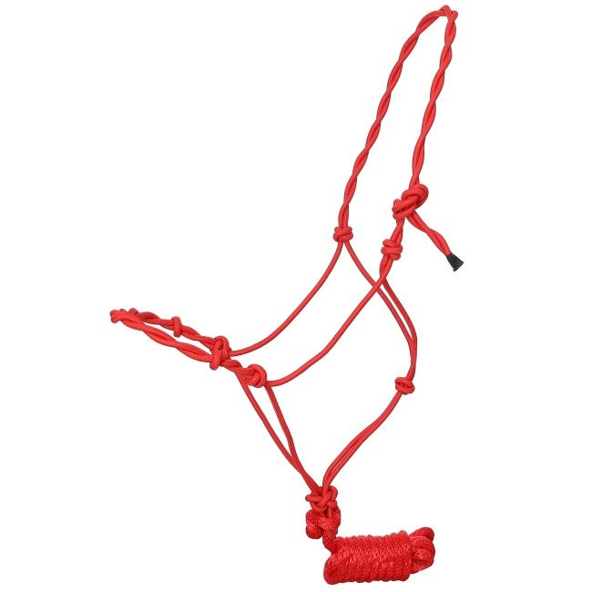 Draft Size Twisted Cowboy Knot Halter with 10 Ft. Lead
