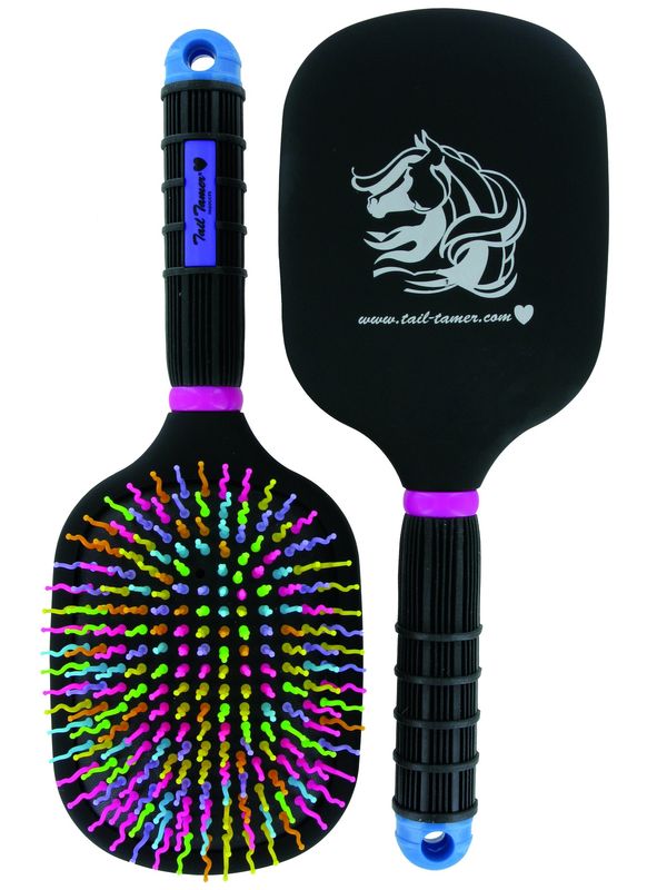 Rainbow Paddle Brush