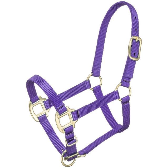 Premium Miniature Halter