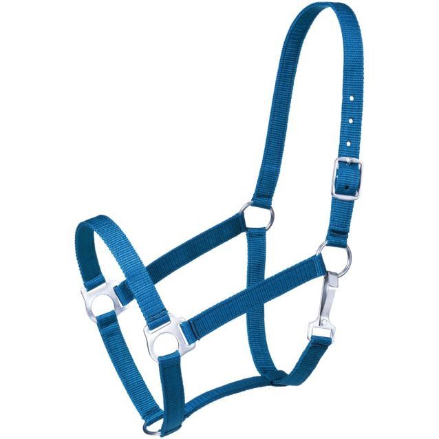 Economy Pony Halter