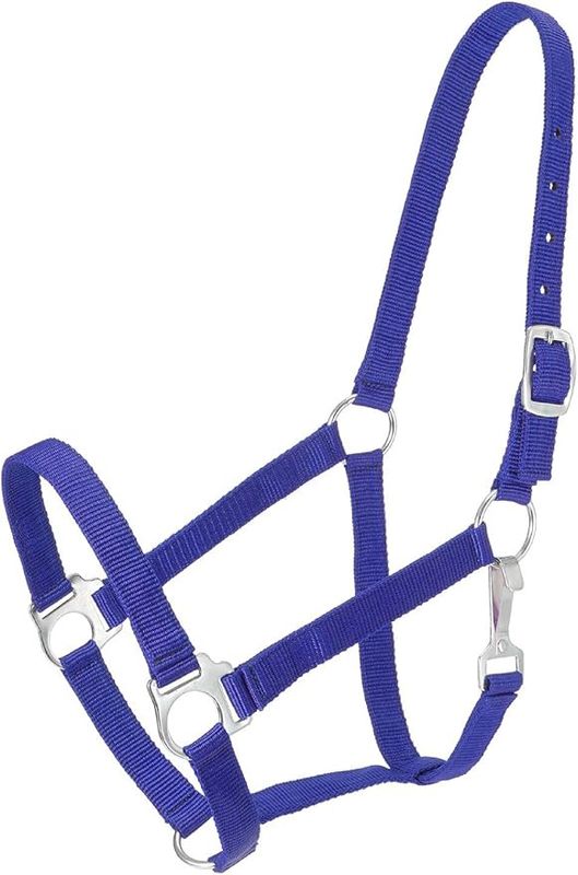 Economy Pony Halter