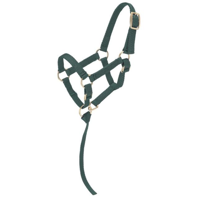 Miniature Nylon Halter