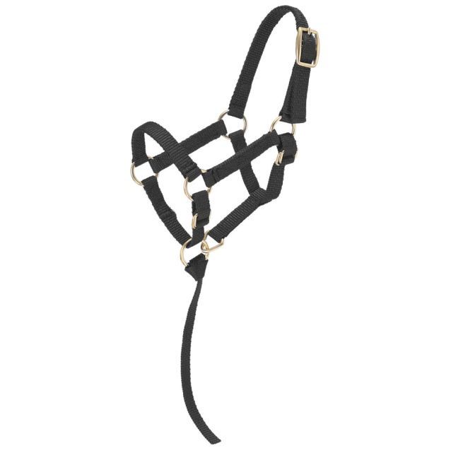 Miniature Nylon Halter