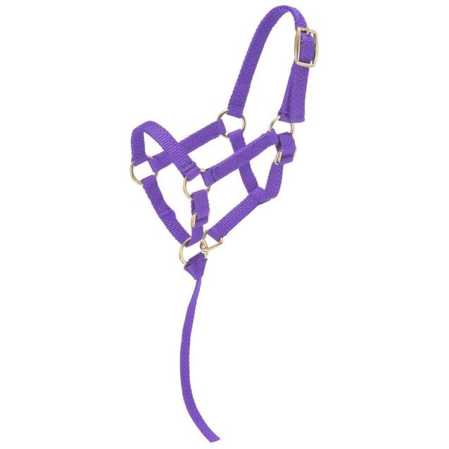 Miniature Nylon Halter, Color: Purple, Size: Regular