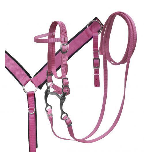 Nylon Pony Headstall and Breast Collar with Grazing Bit