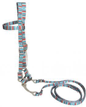 Pony Nylon Browband, Headstall with Grazing Bit