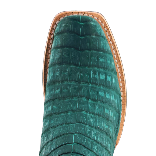 Nubuck Caiman Belly