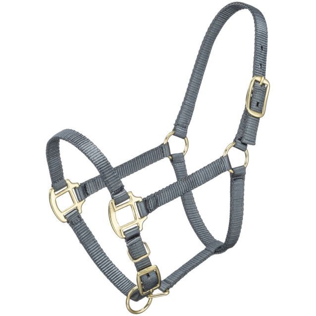 Premium Halter [Weanling], Color: Gray