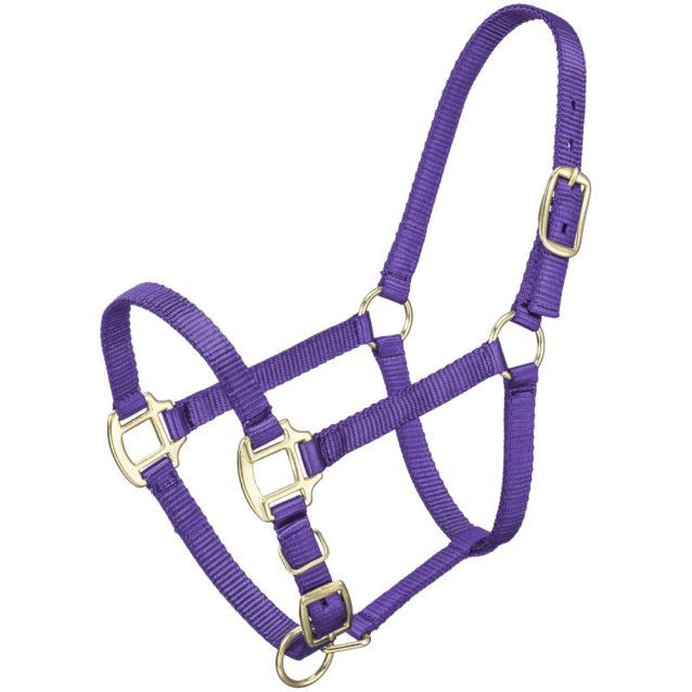 Premium Halter [Weanling]