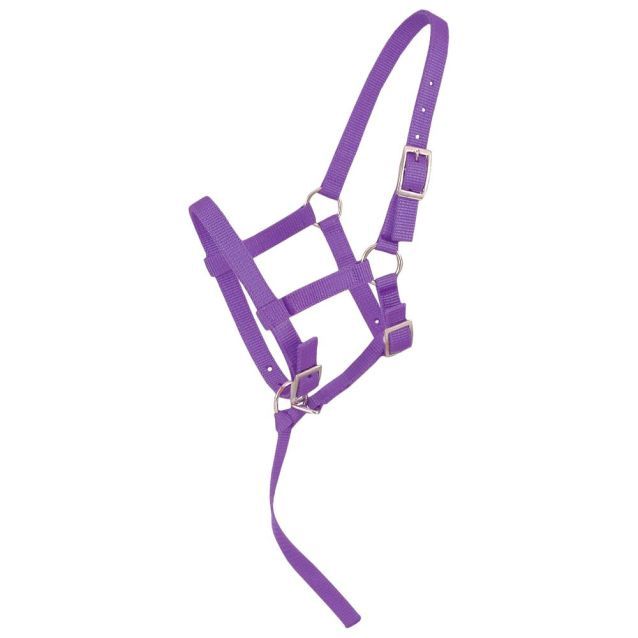 Adjustable Weanling Halter [Foal], Color: Purple