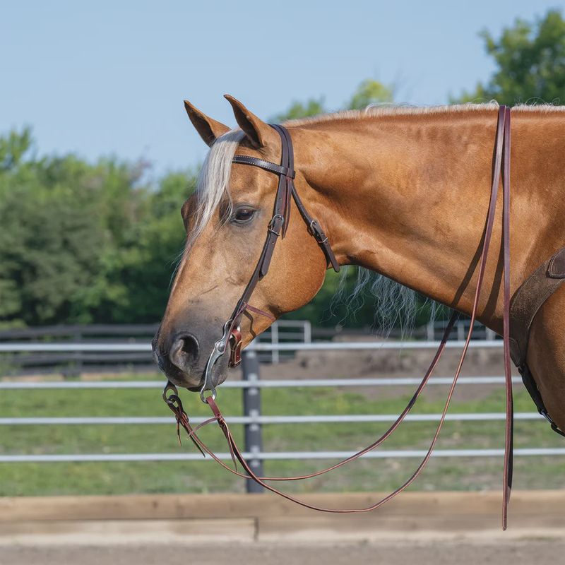 Skirting Leather Browband Headstall, 5/8"