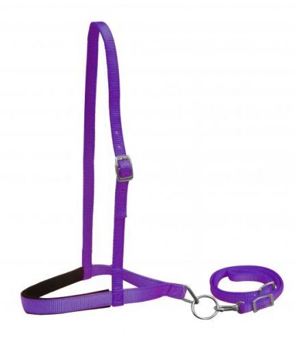 Pony Nylon Noseband and Tiedown