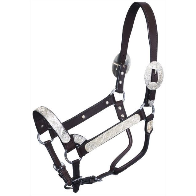 Silver Royal Silver Scroll Show Halter