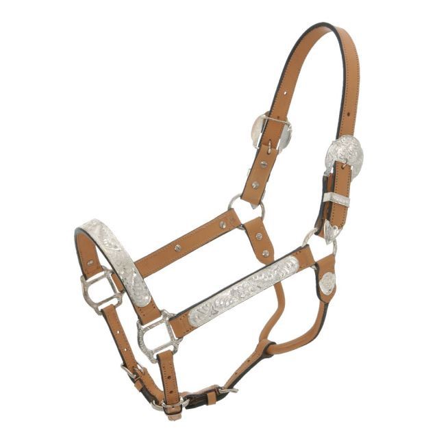Royal King Silver Show Halter, Color: Light Oil