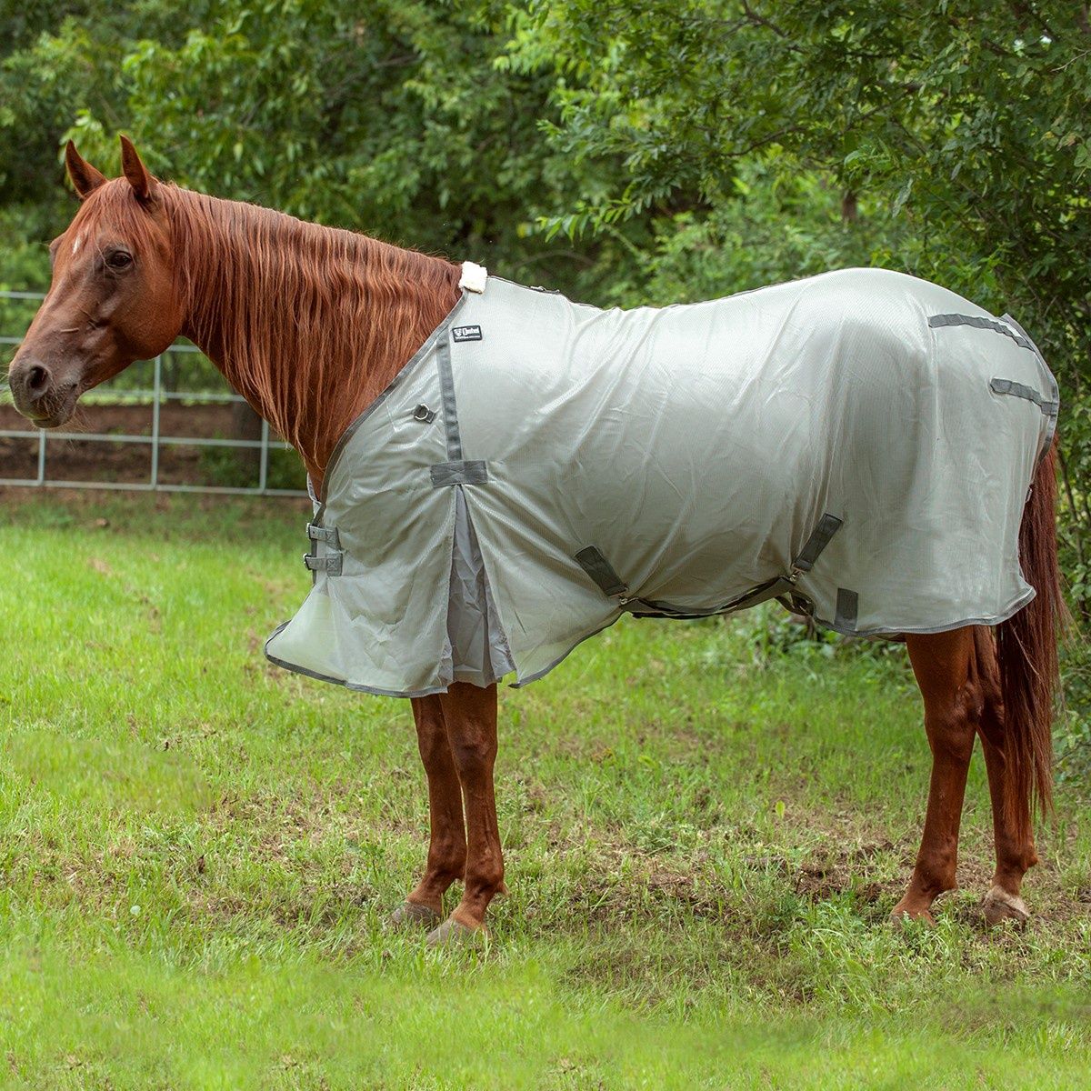 Econo Fly Sheet