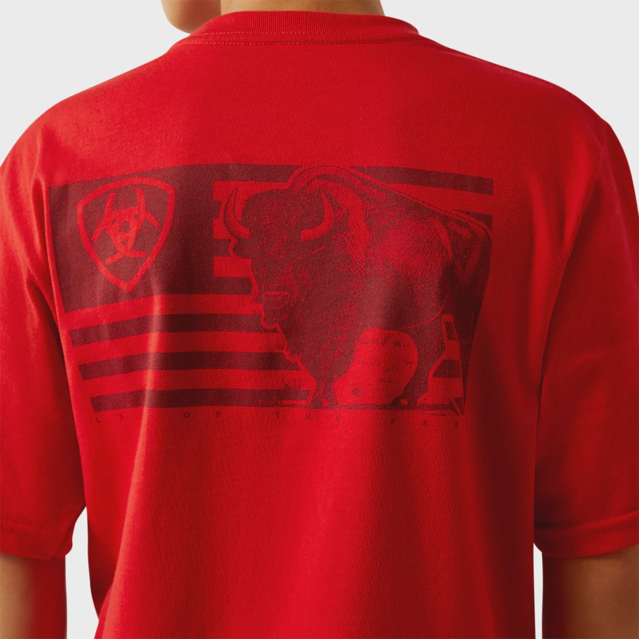 Boy&#39;s Etched Buffalo Flag T-Shirt