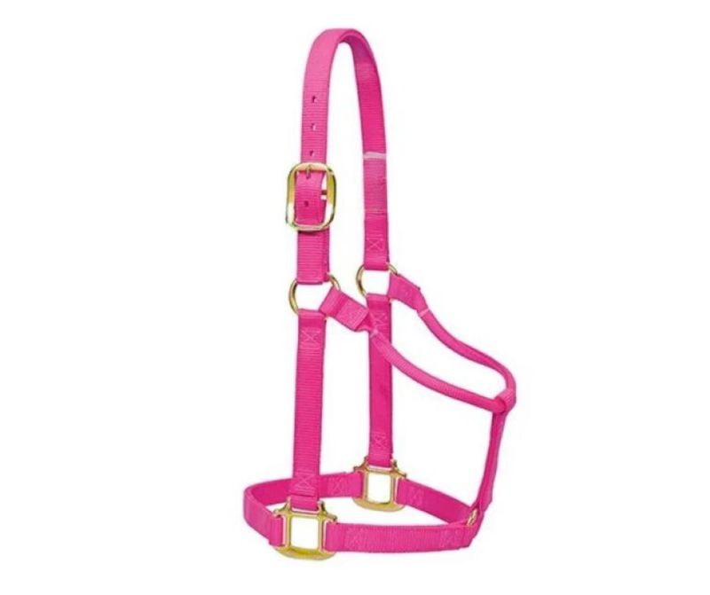 Non-Adjustable Halter