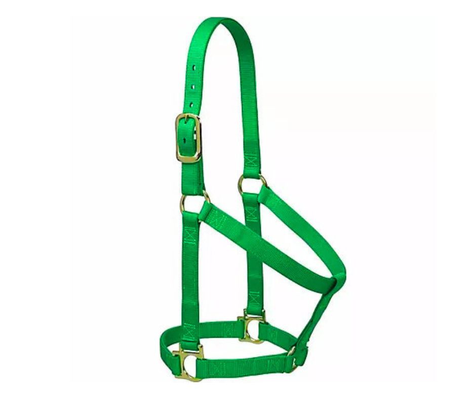 Non-Adjustable Halter, Color: Green, Horse Size: Small Horse
