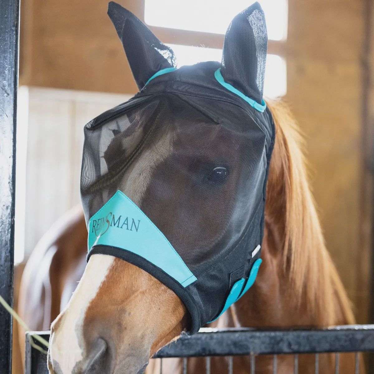 Fly Mask With Ears